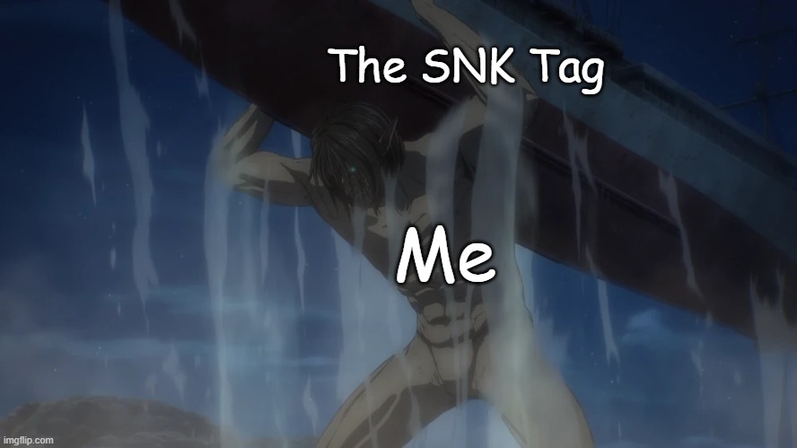 I Use the Tag Alot | The SNK Tag; Me | image tagged in snk,attack on titan,aot,relatable | made w/ Imgflip meme maker