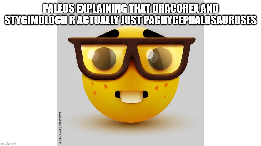 Pachycephalosaurus | PALEOS EXPLAINING THAT DRACOREX AND STYGIMOLOCH R ACTUALLY JUST PACHYCEPHALOSAURUSES | image tagged in um actually,dinosaurs | made w/ Imgflip meme maker