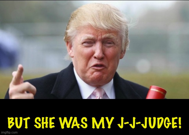 Donald Trump Crying  | BUT SHE WAS MY J-J-JUDGE! | image tagged in donald trump crying | made w/ Imgflip meme maker