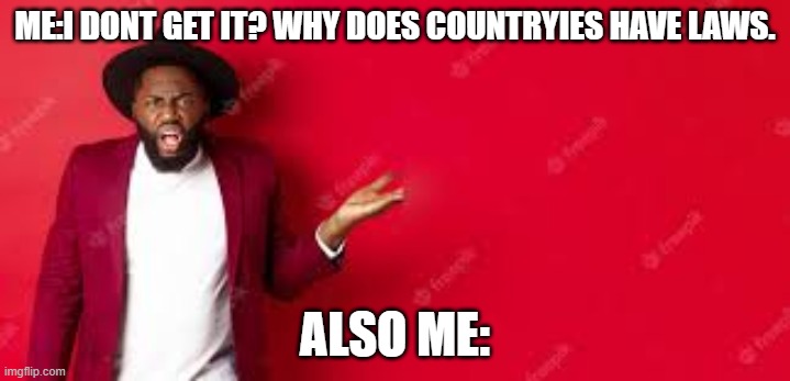 I DON'T GET IT? | ME:I DONT GET IT? WHY DOES COUNTRYIES HAVE LAWS. ALSO ME: | image tagged in i don't get it | made w/ Imgflip meme maker