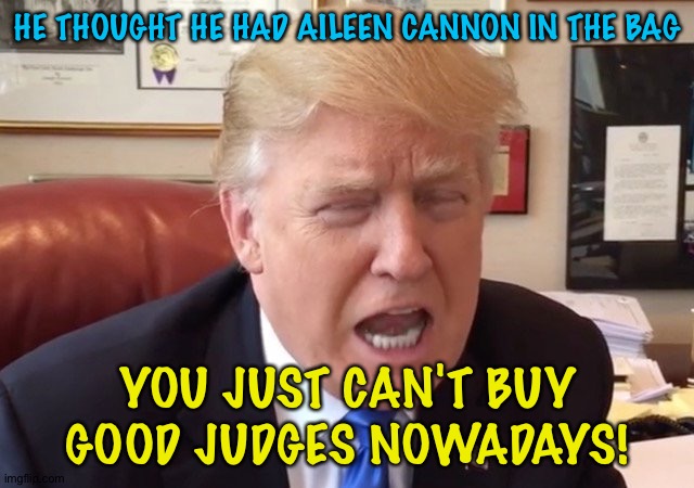 What's the point in appointing judges if they're not loyal to you? | HE THOUGHT HE HAD AILEEN CANNON IN THE BAG; YOU JUST CAN'T BUY GOOD JUDGES NOWADAYS! | image tagged in trump crying | made w/ Imgflip meme maker