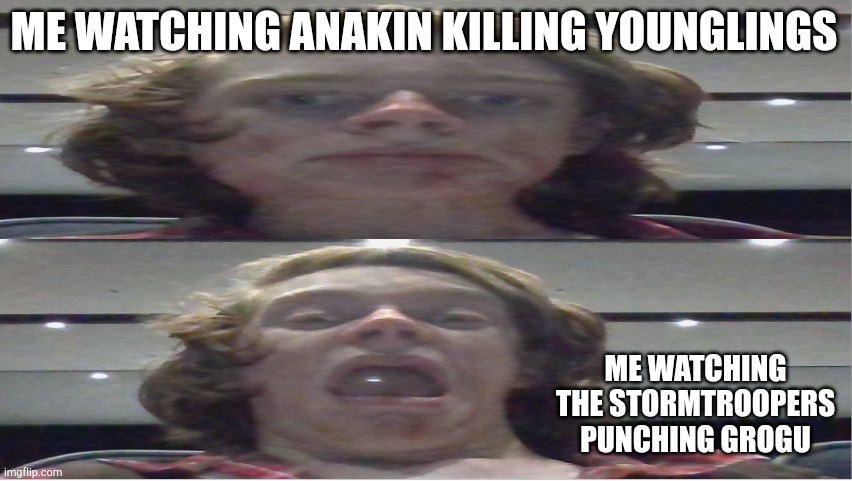 Screaming for the wrong reasons | ME WATCHING ANAKIN KILLING YOUNGLINGS; ME WATCHING THE STORMTROOPERS PUNCHING GROGU | image tagged in screaming for the wrong reasons,grogu | made w/ Imgflip meme maker