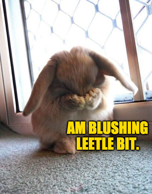 embarrassed bunny | AM BLUSHING LEETLE BIT. | image tagged in embarrassed bunny | made w/ Imgflip meme maker