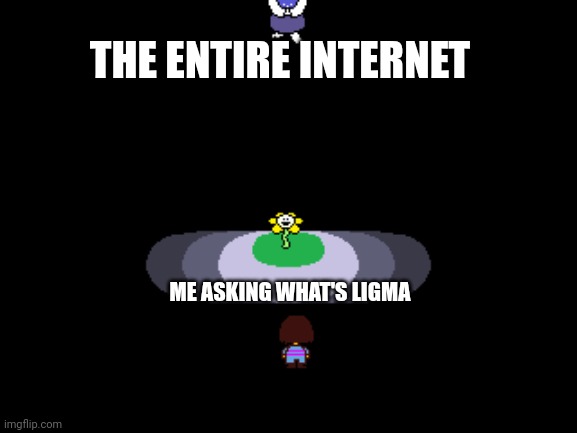 Undertale moments before disaster | THE ENTIRE INTERNET; ME ASKING WHAT'S LIGMA | image tagged in undertale moments before disaster | made w/ Imgflip meme maker