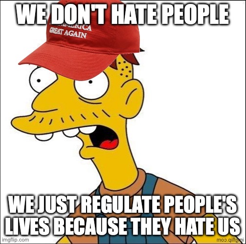 Some Kind Of MAGA Moron | WE DON'T HATE PEOPLE WE JUST REGULATE PEOPLE'S LIVES BECAUSE THEY HATE US | image tagged in some kind of maga moron | made w/ Imgflip meme maker