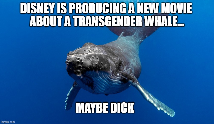 Maybe Dick | DISNEY IS PRODUCING A NEW MOVIE 
ABOUT A TRANSGENDER WHALE... MAYBE DICK | image tagged in whale trans | made w/ Imgflip meme maker