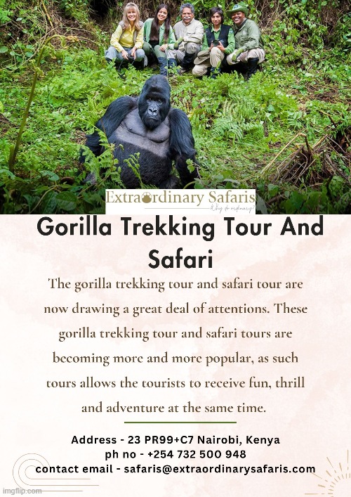 Gorilla Trekking Tour And Safari | image tagged in gorilla trekking tour and safari,africa tour packages from usa,great african safari package cost | made w/ Imgflip meme maker