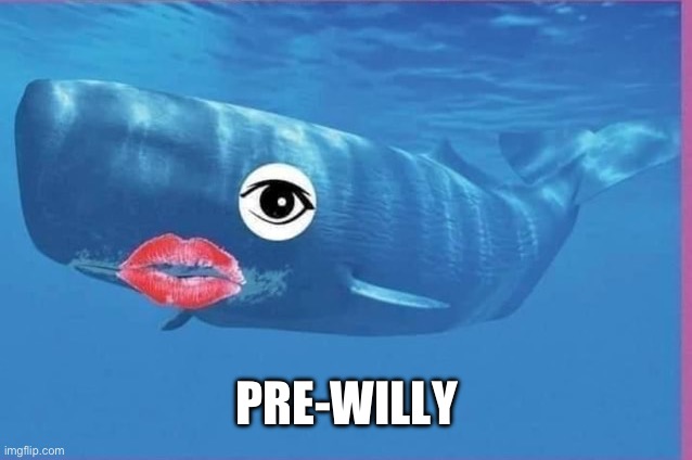 PRE-WILLY | made w/ Imgflip meme maker