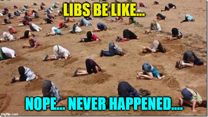 Head in sand | LIBS BE LIKE... NOPE... NEVER HAPPENED.... | image tagged in head in sand | made w/ Imgflip meme maker