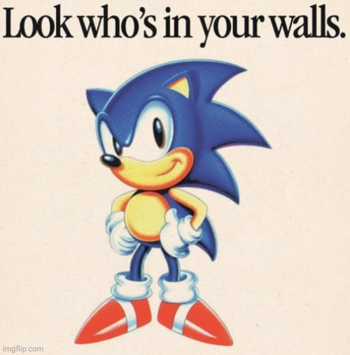 image tagged in funny,memes,sonic the hedgehog,walls | made w/ Imgflip meme maker