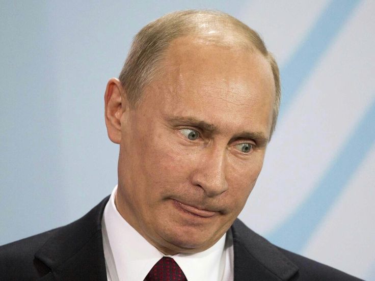 Putin dumb Blank Meme Template
