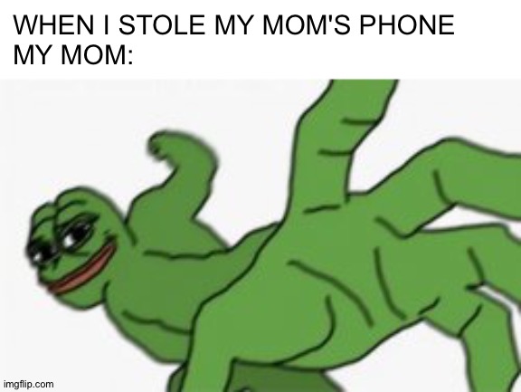 When I stole my mom's phone | WHEN I STOLE MY MOM'S PHONE
MY MOM: | image tagged in my mom | made w/ Imgflip meme maker