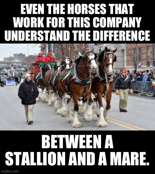 There is a difference! | EVEN THE HORSES THAT WORK FOR THIS COMPANY UNDERSTAND THE DIFFERENCE; BETWEEN A STALLION AND A MARE. | image tagged in transgender | made w/ Imgflip meme maker