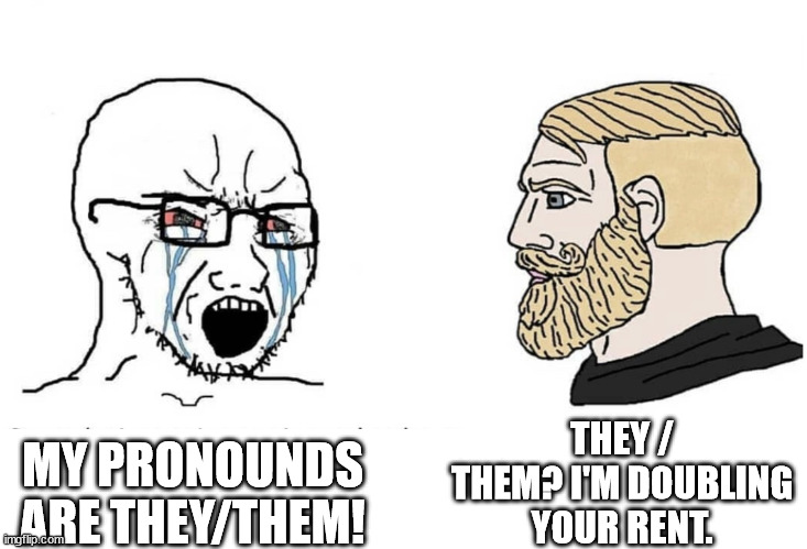 NON BINARY PEOPLE VS LANDLORDS | THEY / THEM? I'M DOUBLING YOUR RENT. MY PRONOUNDS ARE THEY/THEM! | image tagged in soyboy vs yes chad | made w/ Imgflip meme maker