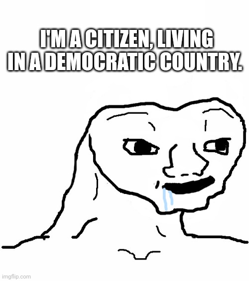 Citizen | I'M A CITIZEN, LIVING IN A DEMOCRATIC COUNTRY. | image tagged in brainless | made w/ Imgflip meme maker