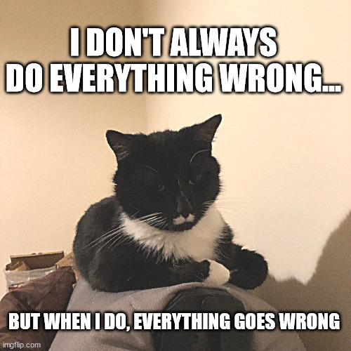 dumb cat | I DON'T ALWAYS DO EVERYTHING WRONG... BUT WHEN I DO, EVERYTHING GOES WRONG | image tagged in dumb,cat | made w/ Imgflip meme maker