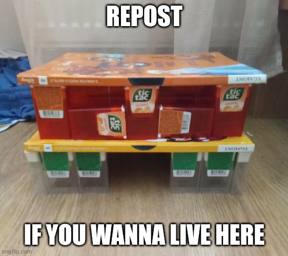 Pls repost | REPOST; IF YOU WANNA LIVE HERE | image tagged in memes,cool | made w/ Imgflip meme maker