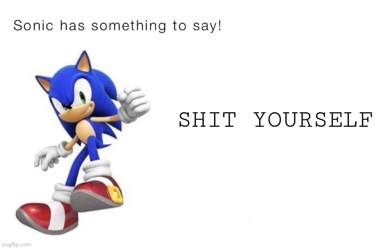I will do as you command, Sonic | SHIT YOURSELF | image tagged in sonic has something to say,sonic says | made w/ Imgflip meme maker