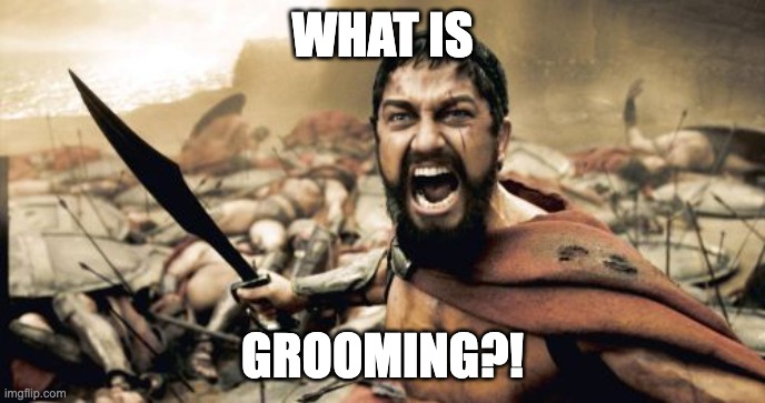 What is a grooming meeting? | WHAT IS; GROOMING?! | image tagged in memes,sparta leonidas,refinement meeting,grooming,backlog refinement | made w/ Imgflip meme maker
