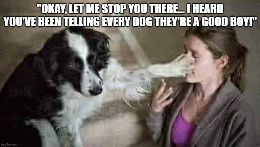 "OKAY, LET ME STOP YOU THERE... I HEARD YOU'VE BEEN TELLING EVERY DOG THEY'RE A GOOD BOY!" | made w/ Imgflip meme maker