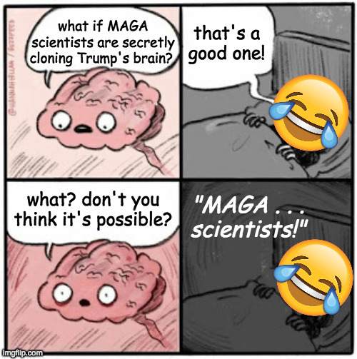 Of course they laughed at Dr. Frankenstein... | that's a
good one! what if MAGA
scientists are secretly
cloning Trump's brain? "MAGA . . .
scientists!"; what? don't you think it's possible? | image tagged in brain before sleep,memes,maga | made w/ Imgflip meme maker