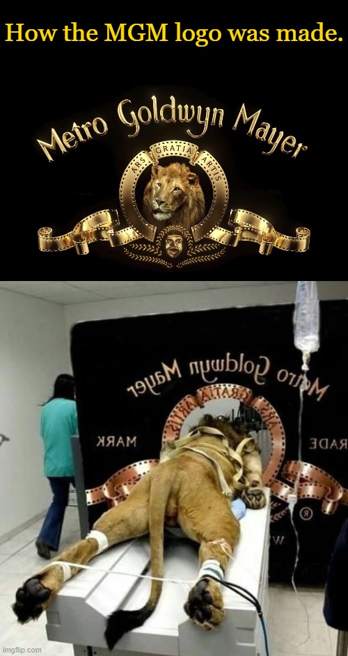 mgm logo | How the MGM logo was made. | image tagged in mgm,kewlew | made w/ Imgflip meme maker