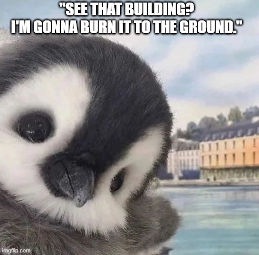 Pengwing | "SEE THAT BUILDING?
I'M GONNA BURN IT TO THE GROUND." | image tagged in new template | made w/ Imgflip meme maker