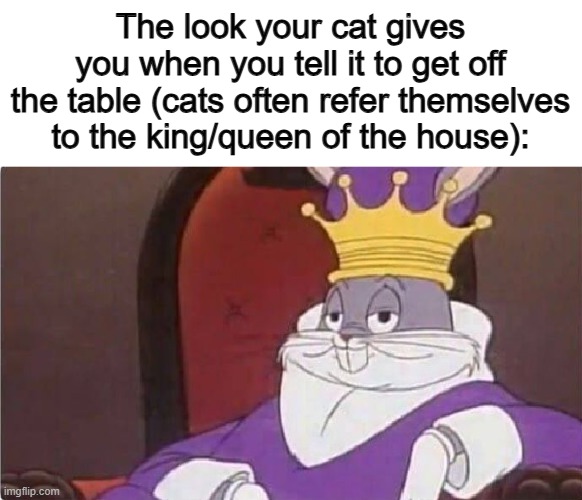 So accurate ^-^ | The look your cat gives you when you tell it to get off the table (cats often refer themselves to the king/queen of the house): | image tagged in bugs bunny king | made w/ Imgflip meme maker