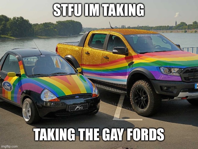 gayptor | STFU IM TAKING; TAKING THE GAY FORDS | image tagged in e | made w/ Imgflip meme maker