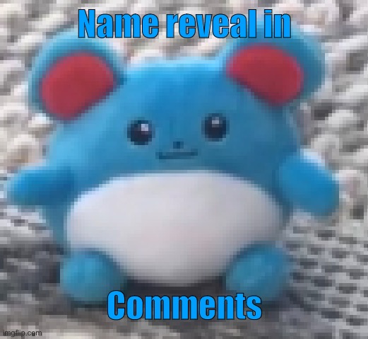 Marill 6 | Name reveal in; Comments | image tagged in marill 6 | made w/ Imgflip meme maker