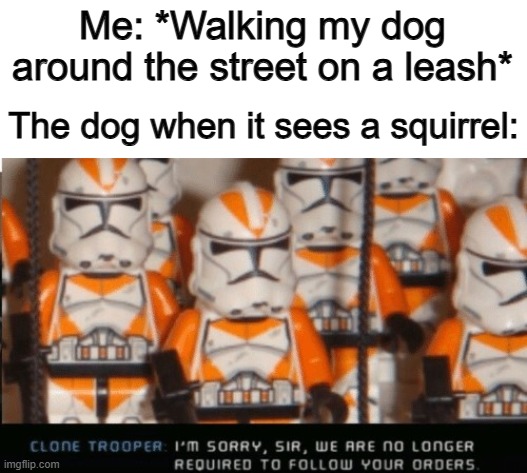 *Knocks me off my feet as he's chasing the squirrel* X_X | Me: *Walking my dog around the street on a leash*; The dog when it sees a squirrel: | made w/ Imgflip meme maker
