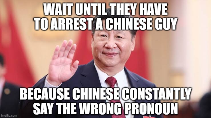 Xi Jinping | WAIT UNTIL THEY HAVE TO ARREST A CHINESE GUY BECAUSE CHINESE CONSTANTLY SAY THE WRONG PRONOUN | image tagged in xi jinping | made w/ Imgflip meme maker