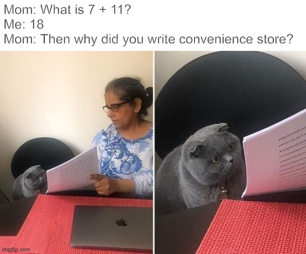 7-eleven | Mom: What is 7 + 11?
Me: 18
Mom: Then why did you write convenience store? | image tagged in woman showing paper to cat | made w/ Imgflip meme maker