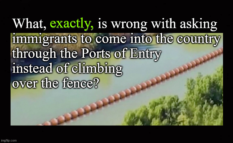 What, exactly, is wrong with asking immigrants to come into the country through the Ports of Entry instead of climbing over the  | exactly, What, exactly, is wrong with asking
immigrants to come into the country
through the Ports of Entry
instead of climbing
over the fence? | image tagged in illegal immigration,immigration,bouy border | made w/ Imgflip meme maker