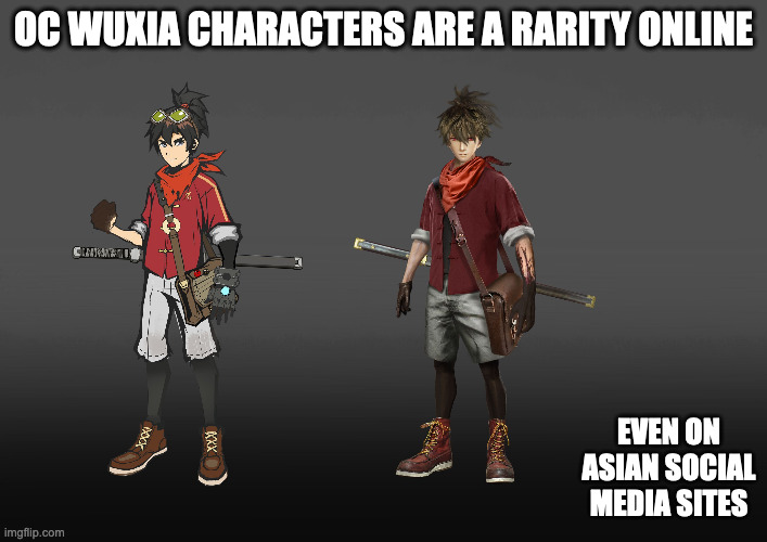 Wuxia OC | OC WUXIA CHARACTERS ARE A RARITY ONLINE; EVEN ON ASIAN SOCIAL MEDIA SITES | image tagged in oc,memes,wuxia | made w/ Imgflip meme maker