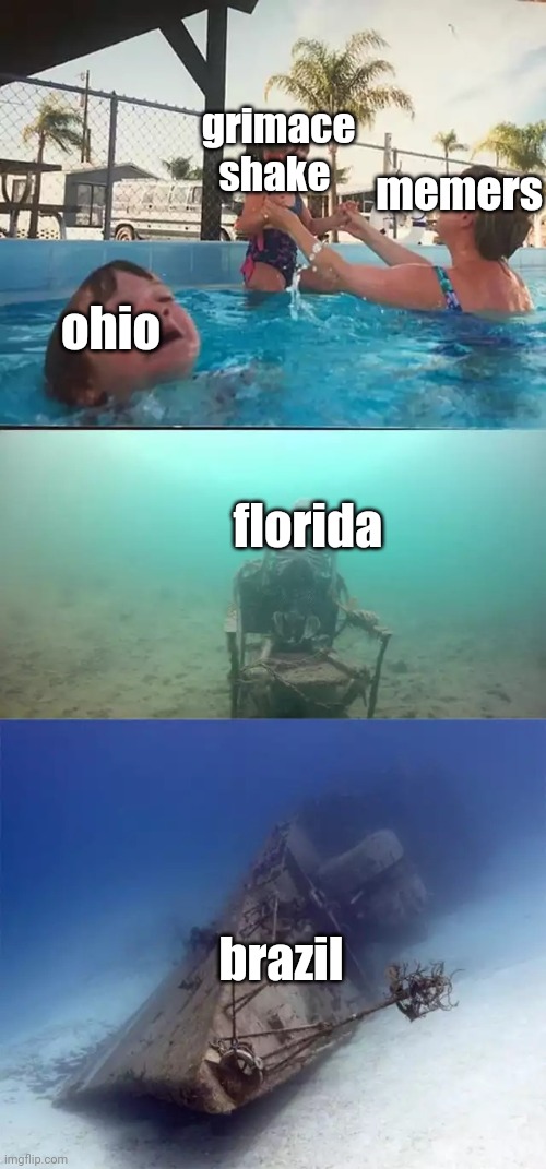 I wonder whats next in the cycle | grimace shake; memers; ohio; florida; brazil | image tagged in ohio,florida,brazil | made w/ Imgflip meme maker