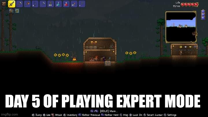 DAY 5 OF PLAYING EXPERT MODE | image tagged in terraria,gaming,nintendo switch,screenshot | made w/ Imgflip meme maker