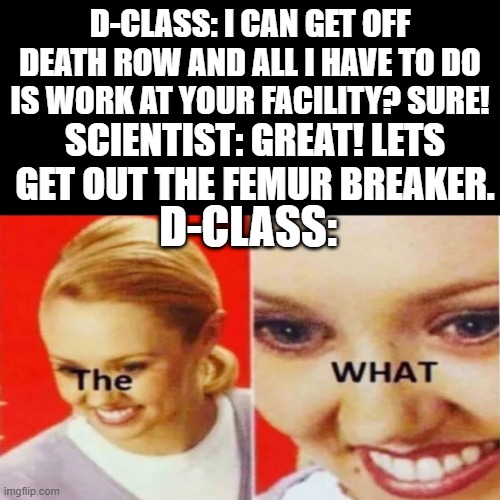 femur breaker | D-CLASS: I CAN GET OFF DEATH ROW AND ALL I HAVE TO DO IS WORK AT YOUR FACILITY? SURE! SCIENTIST: GREAT! LETS GET OUT THE FEMUR BREAKER. D-CLASS: | image tagged in the what | made w/ Imgflip meme maker