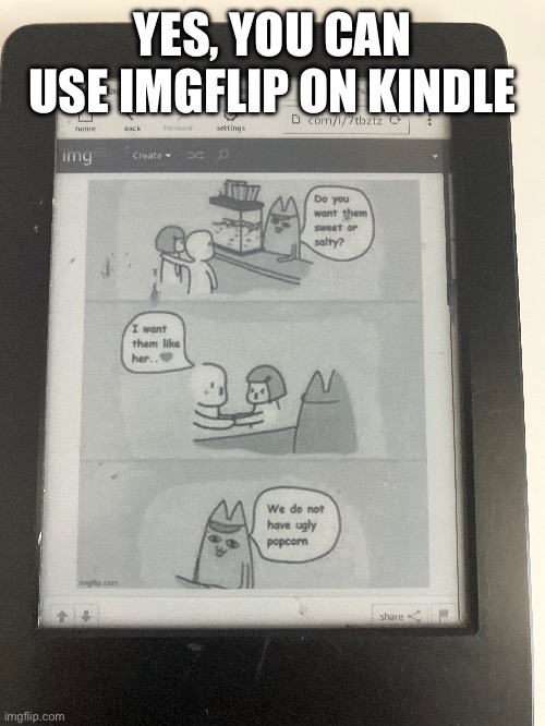 It legit works... | YES, YOU CAN USE IMGFLIP ON KINDLE | image tagged in kindle,amazon,imgflip | made w/ Imgflip meme maker