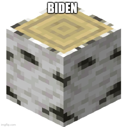 Birch wood | BIDEN | image tagged in birch wood | made w/ Imgflip meme maker