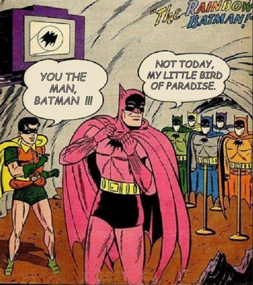 ...meantime at the Bat Cave... | NOT TODAY, MY LITTLE BIRD OF PARADISE. YOU THE MAN, BATMAN  !!! | image tagged in memes,batman,robin,comics | made w/ Imgflip meme maker