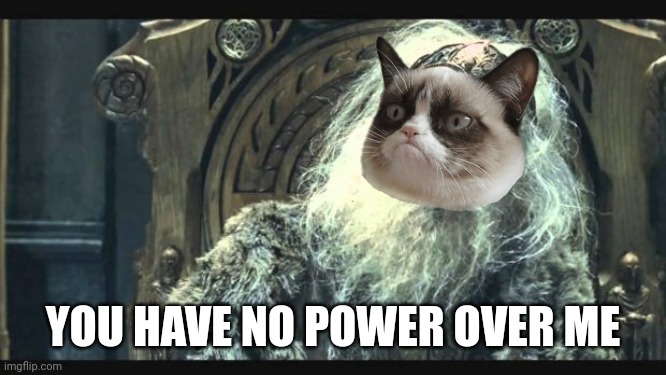 You have no power here | YOU HAVE NO POWER OVER ME | image tagged in you have no power here | made w/ Imgflip meme maker