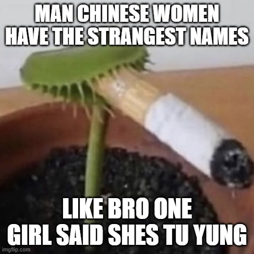 Plant smoking a cigarette | MAN CHINESE WOMEN HAVE THE STRANGEST NAMES; LIKE BRO ONE GIRL SAID SHES TU YUNG | image tagged in plant smoking a cigarette | made w/ Imgflip meme maker