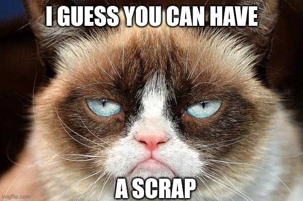 Grumpy Cat Not Amused Meme | I GUESS YOU CAN HAVE A SCRAP | image tagged in memes,grumpy cat not amused,grumpy cat | made w/ Imgflip meme maker