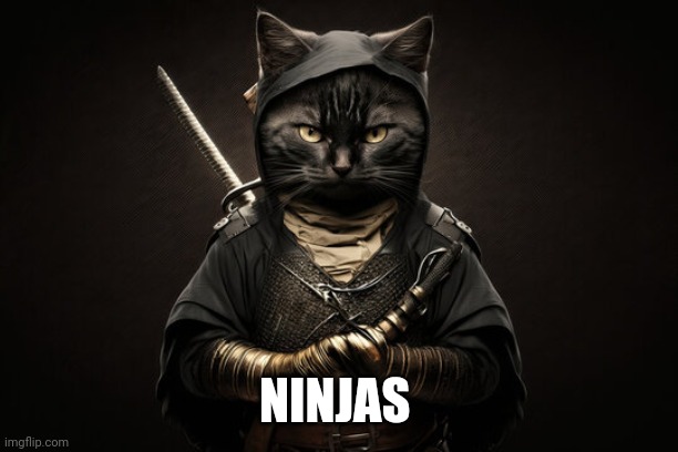 NINJAS | made w/ Imgflip meme maker