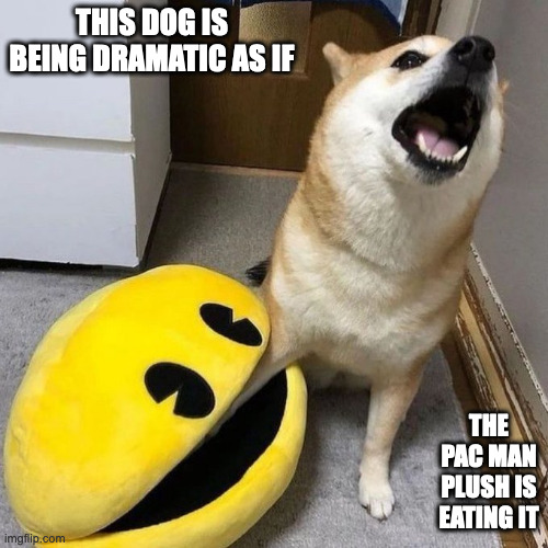 Dog With Paw on Pac-Man Plush | THIS DOG IS BEING DRAMATIC AS IF; THE PAC MAN PLUSH IS EATING IT | image tagged in dogs,pac man,memes,funny | made w/ Imgflip meme maker