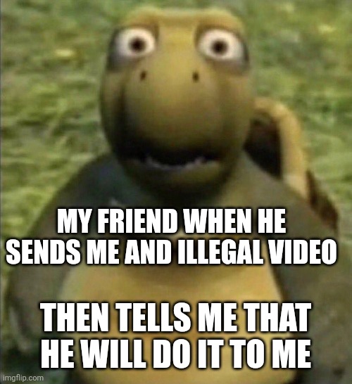 I defeated him | MY FRIEND WHEN HE SENDS ME AND ILLEGAL VIDEO; THEN TELLS ME THAT HE WILL DO IT TO ME | image tagged in shocked turtle | made w/ Imgflip meme maker