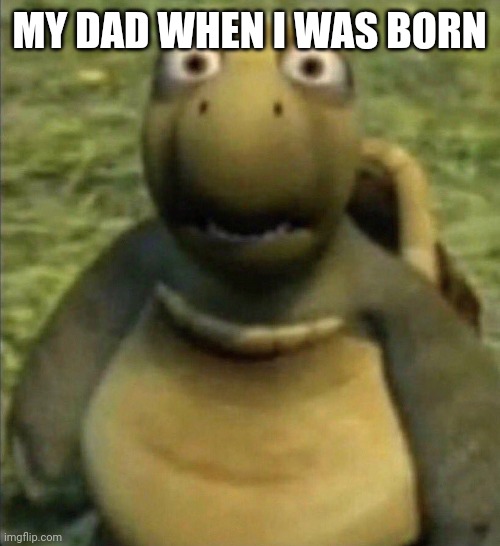 shocked turtle | MY DAD WHEN I WAS BORN | image tagged in shocked turtle | made w/ Imgflip meme maker