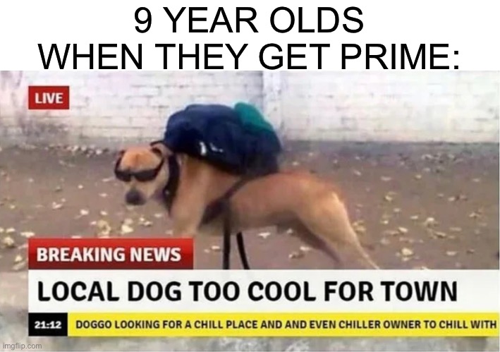 My brother fr loves prime for some reason | 9 YEAR OLDS WHEN THEY GET PRIME: | image tagged in local dog too cool for town | made w/ Imgflip meme maker