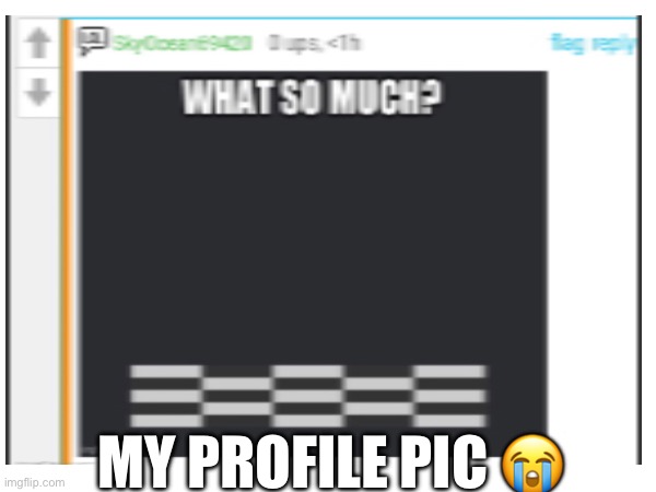 MY PROFILE PIC ? | made w/ Imgflip meme maker